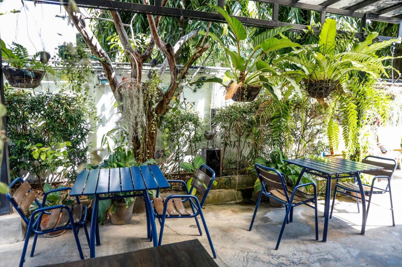 Sleep Guesthouse Chiang Mai Ngoại thất bức ảnh